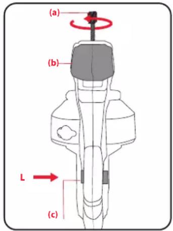(a) (b) L (c)