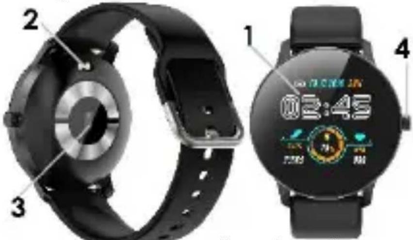 BEMI ARI - Elementy urządzenia - 1