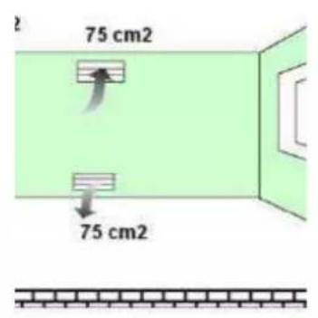 75 cm2 75 cm2