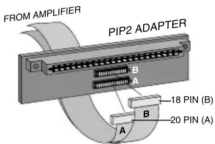 FROM AMPLIFIER PIP2 ADAPTER B A 18 PIN (B) B 20 PIN (A) A