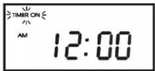 TIMER ON AM 12:00