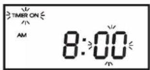 TIMER ON AM 8:00
