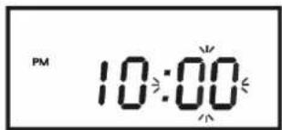 PM 10:00