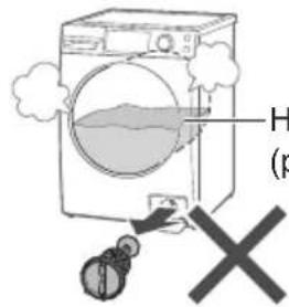 H (p