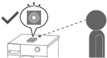 Diagram illustrating a device inspection or testing process with a checkmark and a person silhouette, showing a magnified view of the screen.