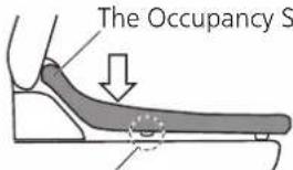 The Occupancy S