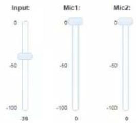 Input: -50 -100 -39 Mic1: -50 -100 0 Mic2: -50 -100 0