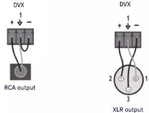 DVX + - RCA output DVX + - 2 1 3 XLR output