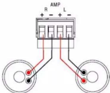 AMP R + - + L -