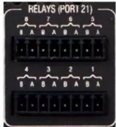 AMX DVX-2250HD - Relay Connections - 1