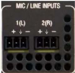 MIC / LINE INPUTS 1(L) + ↓ - 2(R) + ↓ -