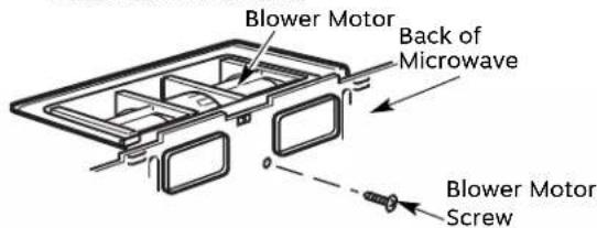 Blower Motor Back of Microwave Blower Motor Screw