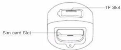 TF Slot Sim card Slot