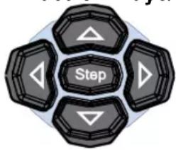 Step