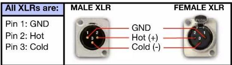 All XLRs are: Pin 1: GND Pin 2: Hot Pin 3: Cold MALE XLR FEMALE XLR GND Hot (+) Cold (-)