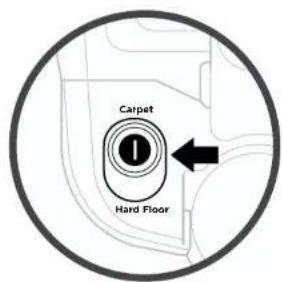 Carpet Hard Floor
