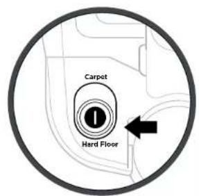 Carpet Hard Floor