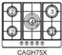 Artusi CAGH1 - NATURAL GAS TO LPG CONVERSION - 3