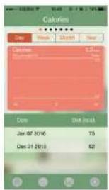 Calories Date View Month Year Calories 0.25mm Jan 07 2016 75 Dec 31 2016 82