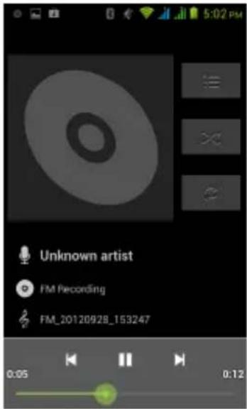 Unknown artist FM Recording FM_20120928_153247 0:05 0:12