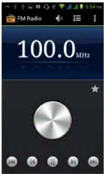 FM Radio 100.0 MHz