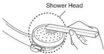 Shower Head