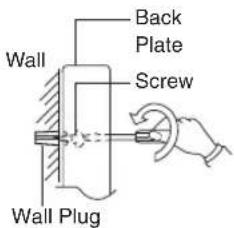 Wall Back Plate Screw Wall Plug