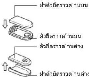 ฝ่าตัวยื้นตราวด้านบน ตัวยื้นตราวด้านบน ตัวยื้นตราวด้านล่าง ฝ่าตัวยื้นตราวด้านล่าง