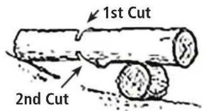 1st Cut 2nd Cut