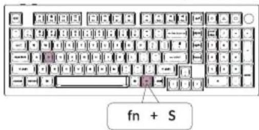 fn + S