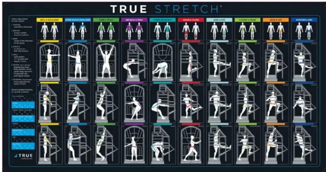TRUE STRETCH® Lateral body shoulder for head muscle 1. PONION 2. PONION of frontal 3. PONION of lateral 4. PONION of lateral 5. BASE 6. SWEY of the direction 7. SWEY of the side 8. STRETCH 9. SWEY of the side 10. SWEY of the side 11. SWEY of the side 12. SWEY of the side Recommended exercises for specific activities 13. SWEY of the side 14. SWEY of the side 15. SWEY of the side 16. SWEY of the side 17. SWEY of the side 18. SWEY of the side 19. SWEY of the side 20. SWEY of the side 21. SWEY of the side 22. SWEY of the side 23. SWEY of the side 24. SWEY of the side