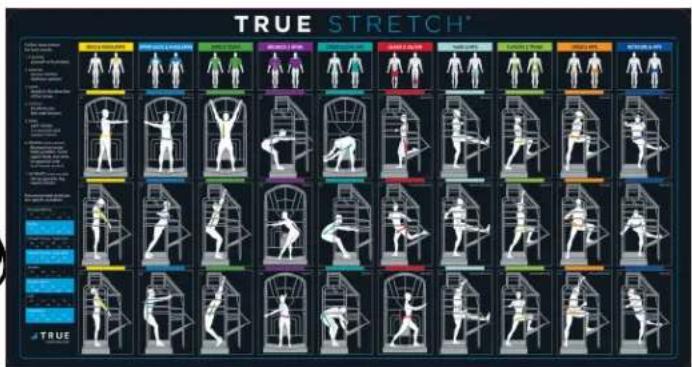 TRUE STRETCH* TRUE