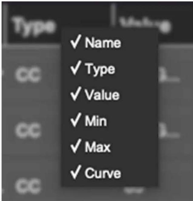✓ Name ✓ Type ✓ Value ✓ Min ✓ Max ✓ Curve