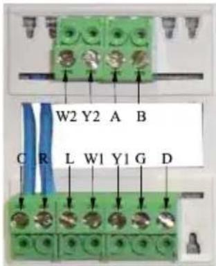 W2 Y2 A B C R L W1 Y1 G D