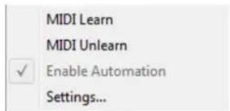 MIDI Learn MIDI Unlearn ✓ Enable Automation Settings...