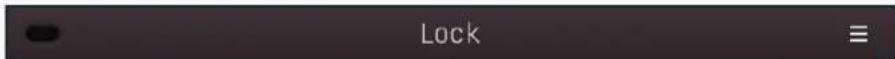 Lock
