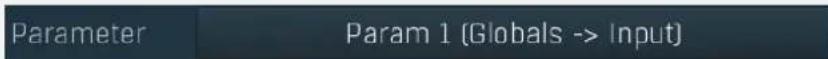 Parameter Param 1 (Globals -> Input)