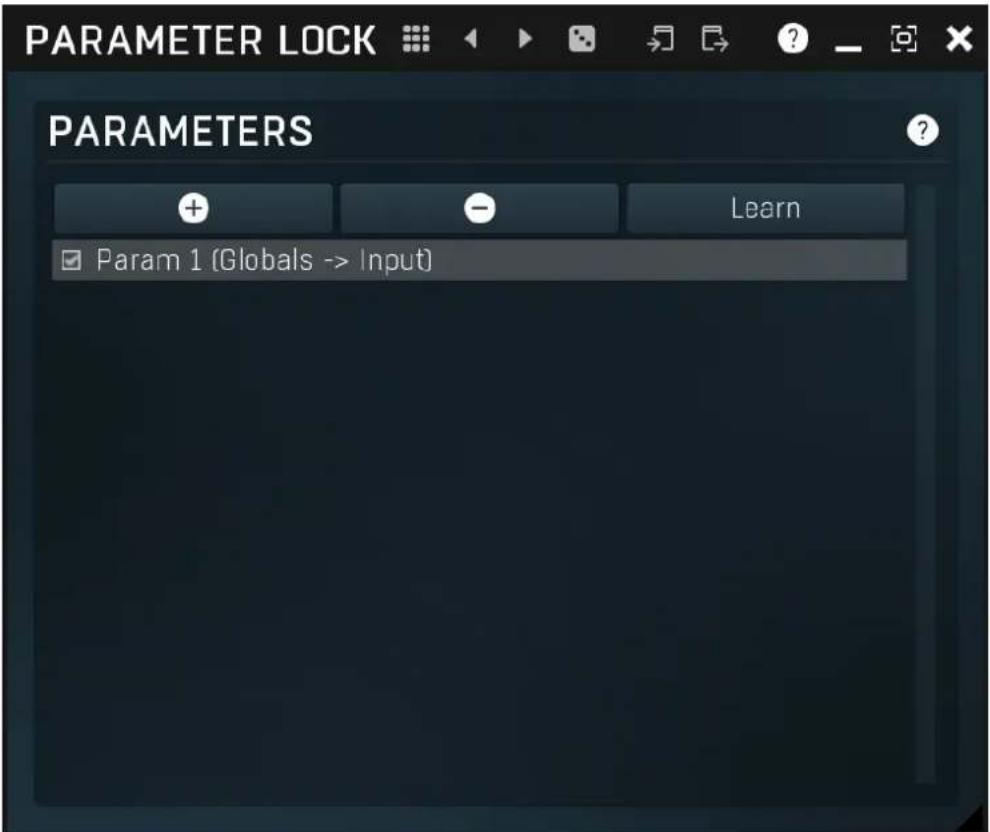 PARAMETER LOCK PARAMETERS + - Learn Param 1 (Globals -> Input)