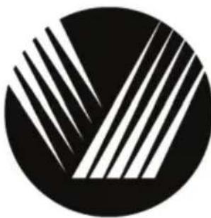 VOX VF 2410 E - VF2410E / VF2410SE - 1