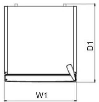 D1 W1