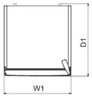 D1 W1