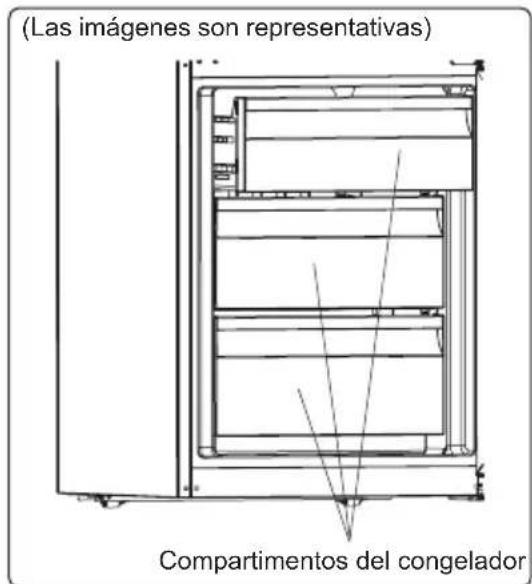 (Las imágenes son representativas) Compartimentos del congelador