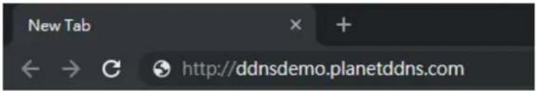New Tab ← → G http://ddnsdemo.planetddns.com