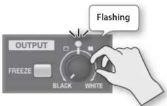 FLASHING OUTPUT FREEZE BLACK WHITE
