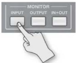 MONITOR INPUT OUTPUT IN+OUT