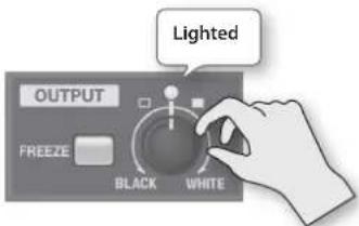 LIGHTED OUTPUT FREEZE BLACK WHITE