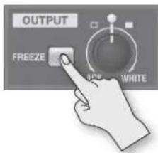 OUTPUT FREEZE ACK WHITE