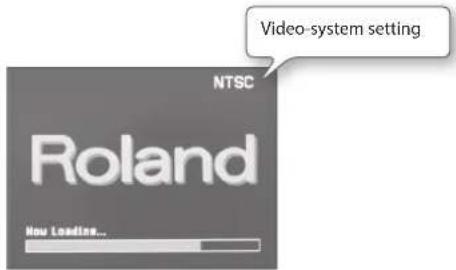 NTSC Video-system setting Roland You Loadice...