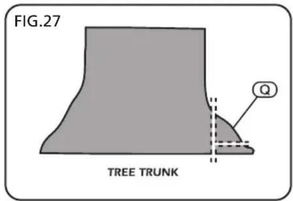 FIG.27 TREE TRUNK Q