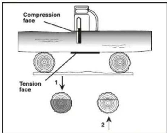 Compression face Tension face 1 2